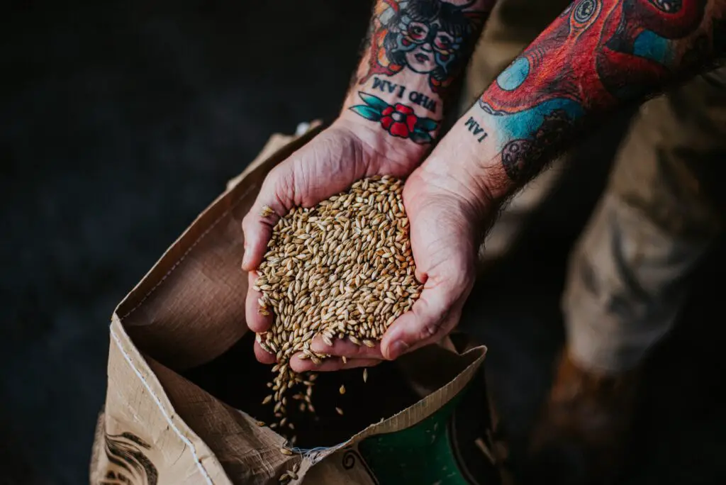 All-grain brewing provides more control over the recipe and the brew day process, giving the brewer the power to potentially create something more complex or nuanced.