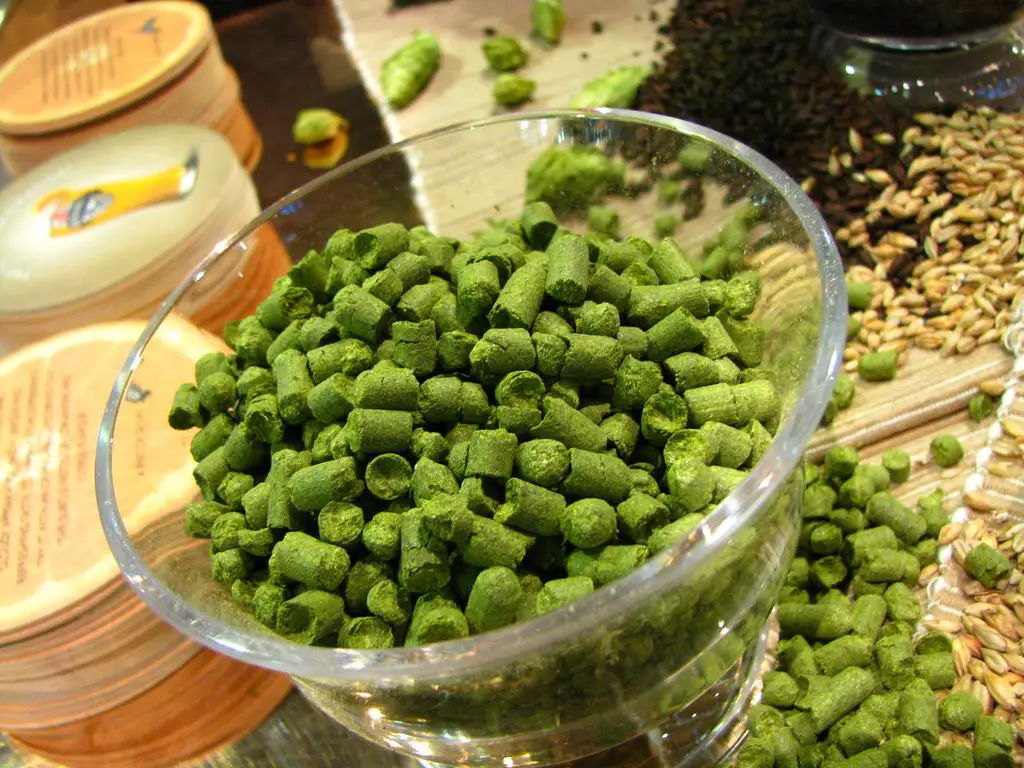 In most homebrewing situations, pellets are the recommended choice