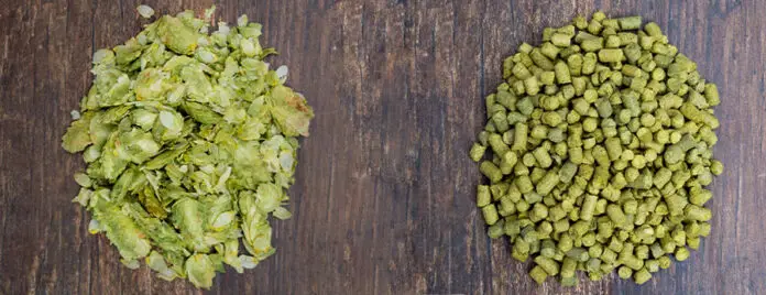 Whole hop cones are believed by some to produce a better (smoother) aroma and flavor in the finished beer, but this claim is not based in science. Hop pellets have a number of advantages over cones, and are the best choice for the majority of homebrewing situations.