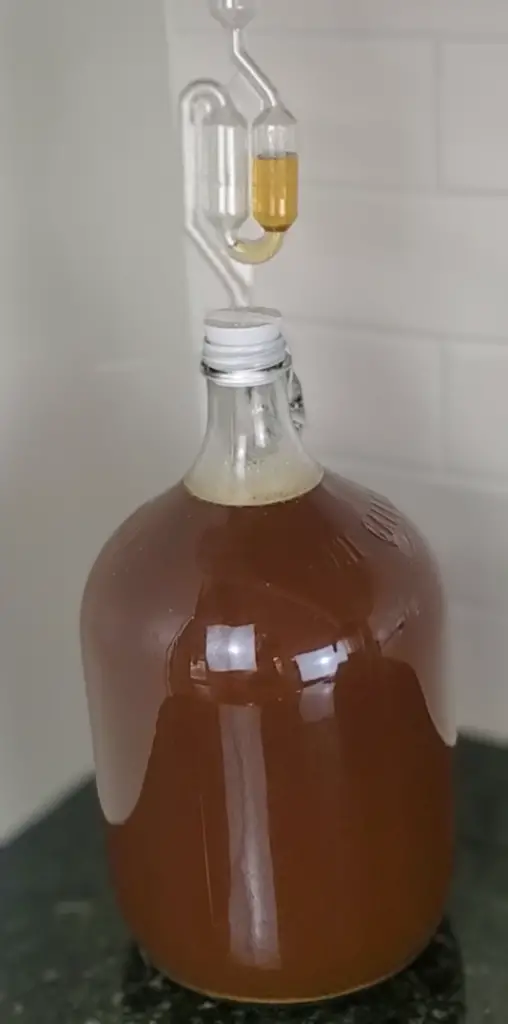 Glass has its uses. Carboys are particularly nice for bulk aging