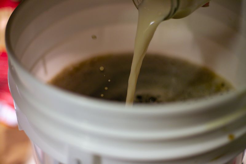 When your yeast starter is ready, you can pitch it into your next batch to begin fermentation