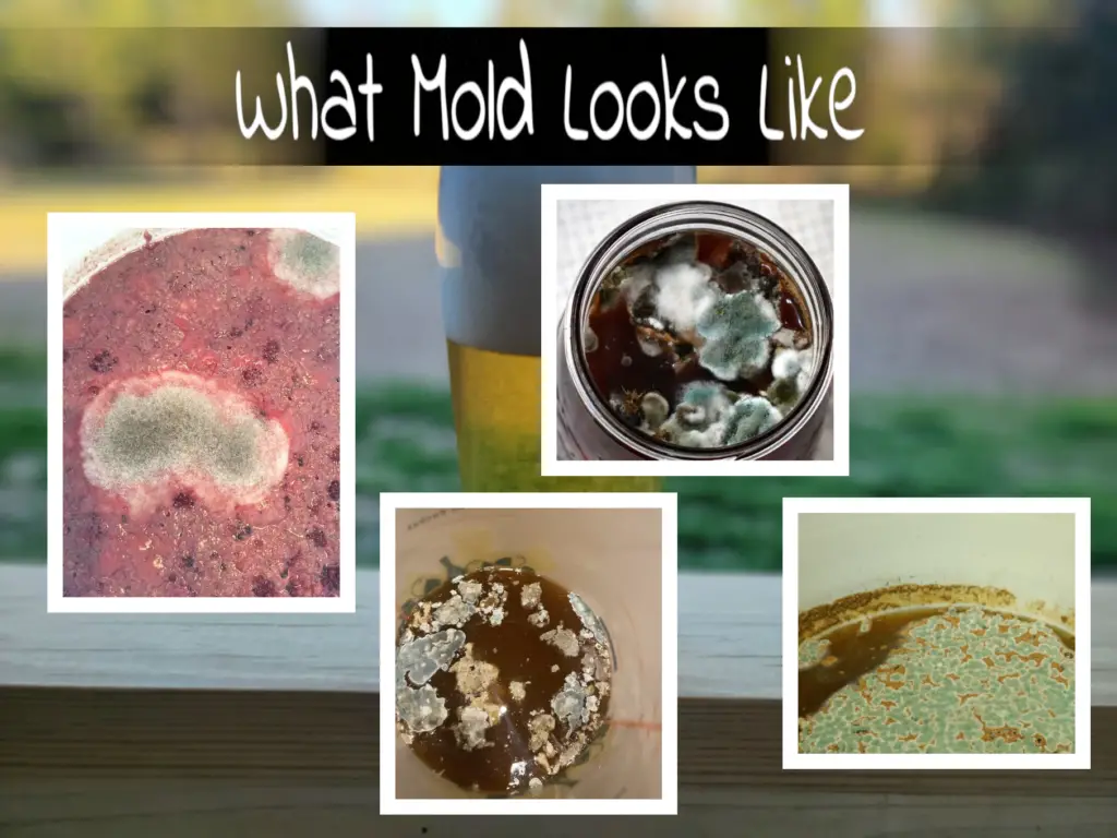 Mold is furry or fuzzy, floats on top of the liquid, and can be white, green, blue, black, or multi-colored