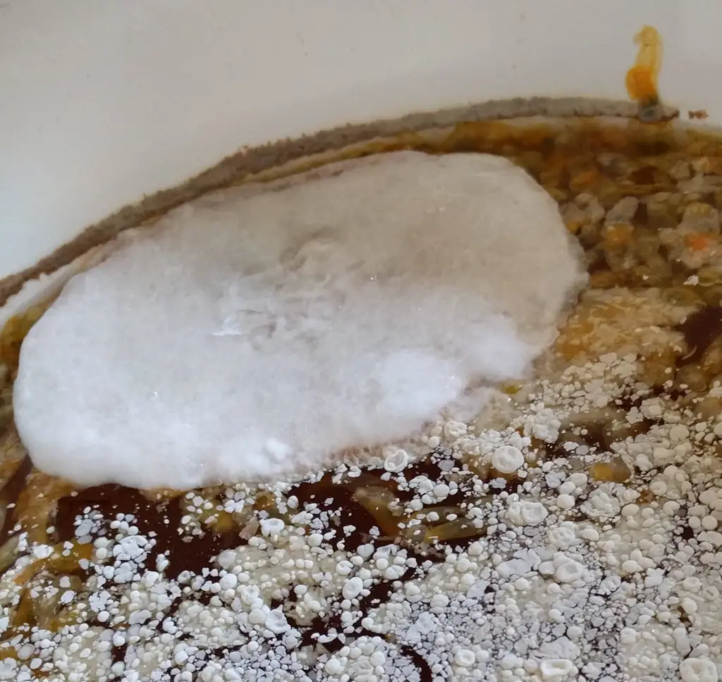 White mold can get VERY fuzzy, even filling the headspace of the vessel with a formation like the seedhead of a dandelion