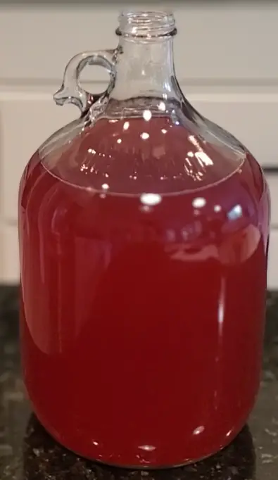 After racking from the Little Big Mouth Bubbler, this raspberry hydromel fits almost perfectly into a standard carboy and is ready for a long period of bulk aging