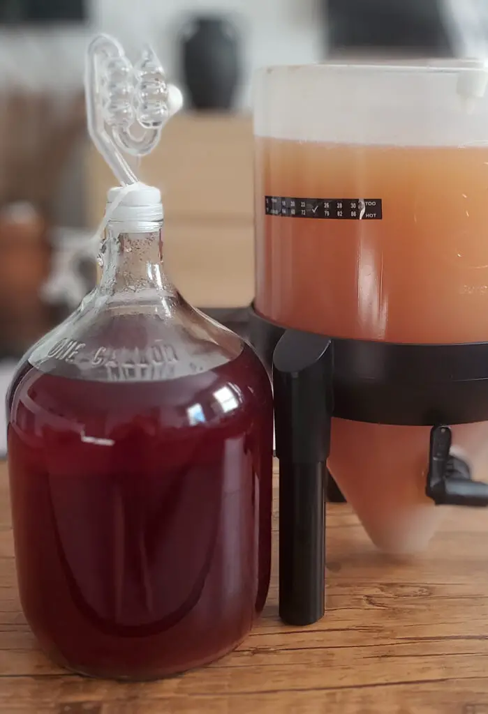 Side-by-side view of a batch actively fermenting in a wide-mouthed BrewDemon fermenter and another bulk aging in a carboy.