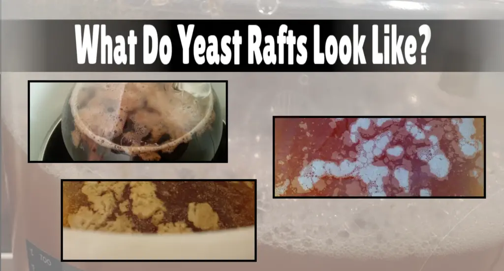 This infographic provides a few examples of what yeast rafts can look like. If you see clumps like this in your batch, don't worry!