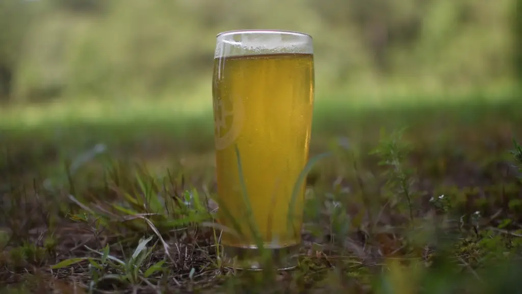 Pilsner-Style Hopped Cider