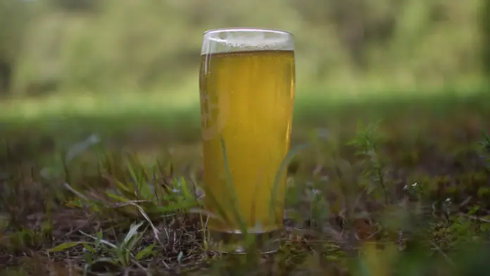 Pilsner-Style Hopped Cider Recipe
